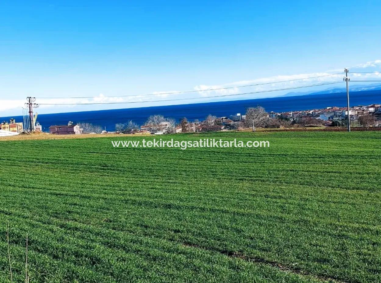 Located In Süleymanpaşa Barbaros, Tekirdag, This 11.100 M2 Residential Land Is Located In A Great Location.
