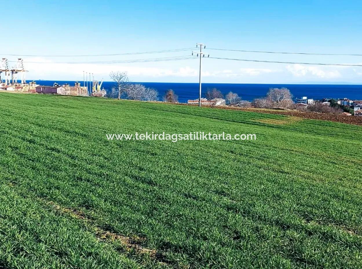 Located In Süleymanpaşa Barbaros, Tekirdag, This 11.100 M2 Residential Land Is Located In A Great Location.