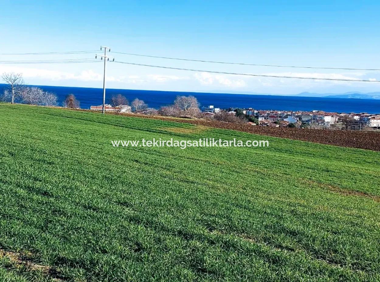 Located In Süleymanpaşa Barbaros, Tekirdag, This 11.100 M2 Residential Land Is Located In A Great Location.