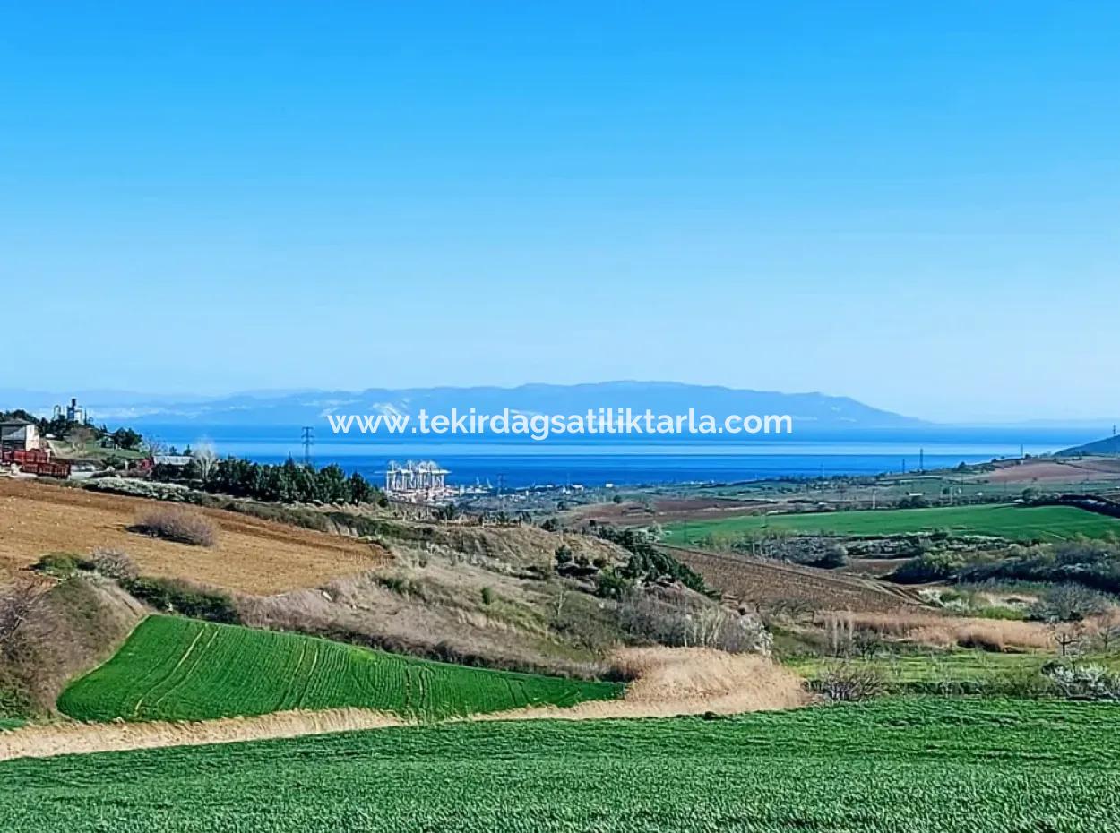 Land For Sale In 19,500 Square Meters Of Commercial And Industrial Area In Nusuratlı Area Of Tekirdağ