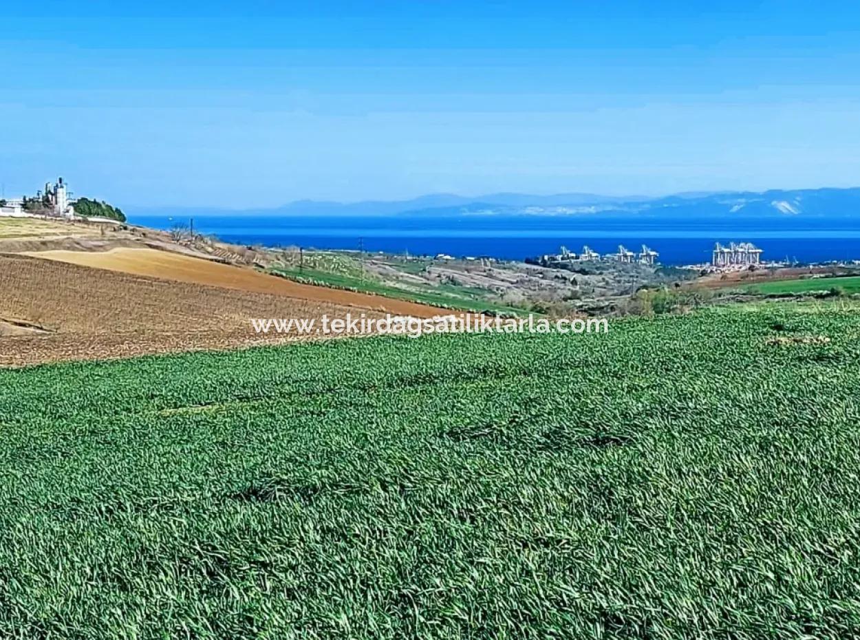 Land For Sale In 19,500 Square Meters Of Commercial And Industrial Area In Nusuratlı Area Of Tekirdağ