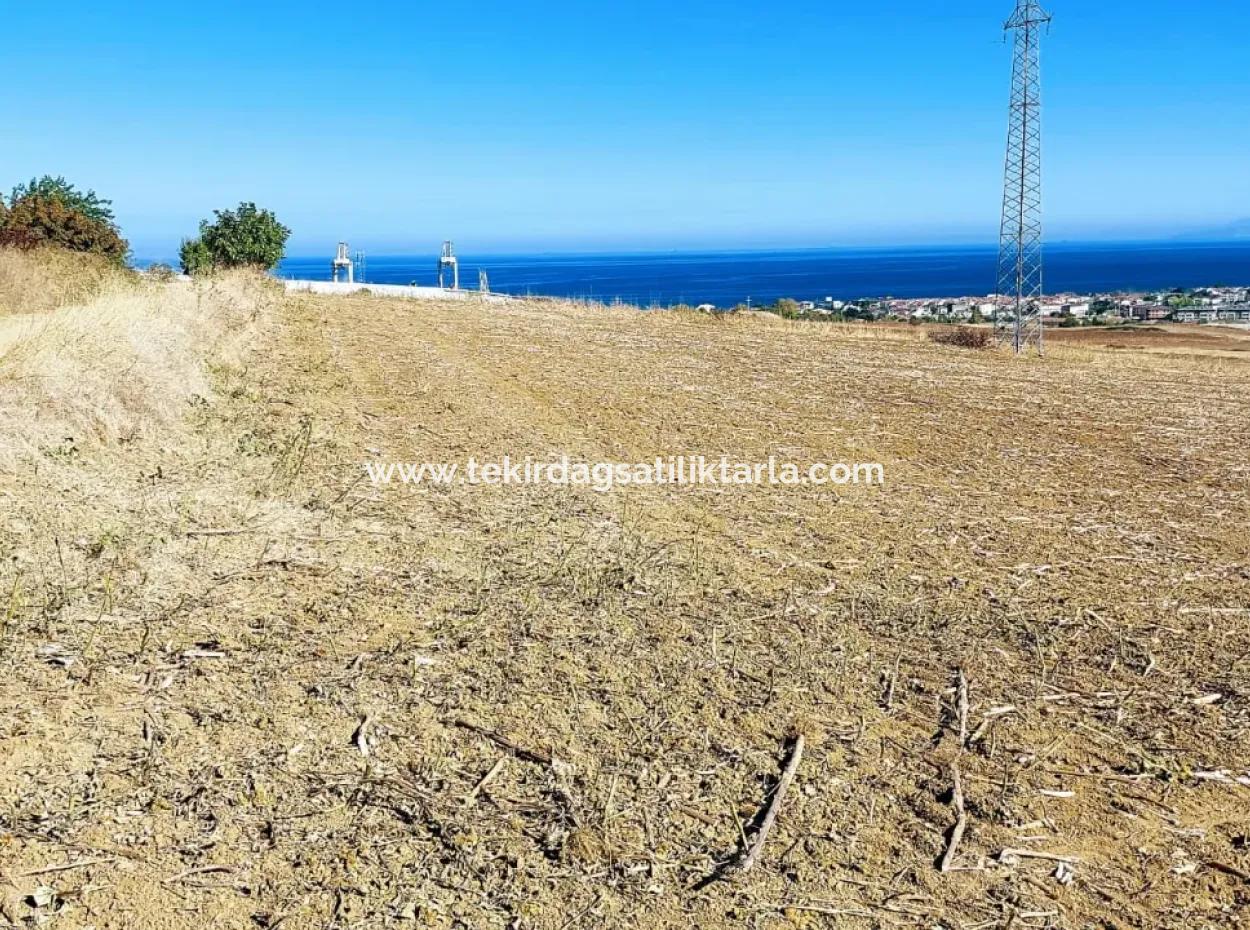 The 21,900 M2 Plot Located In Tekirdağ Barbaros Is Located Within The Current Zoning Plan Of Asyaport Port