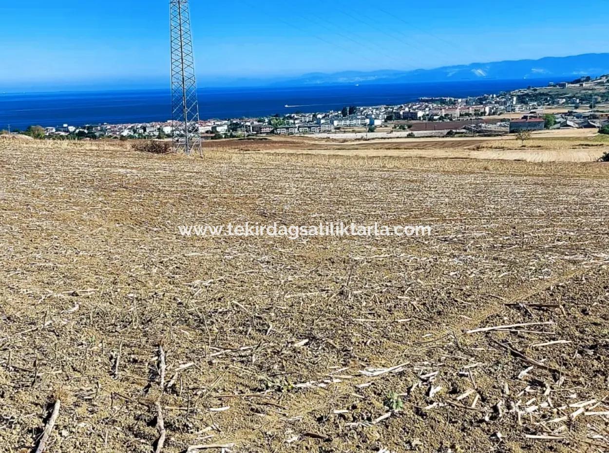 The 21,900 M2 Plot Located In Tekirdağ Barbaros Is Located Within The Current Zoning Plan Of Asyaport Port