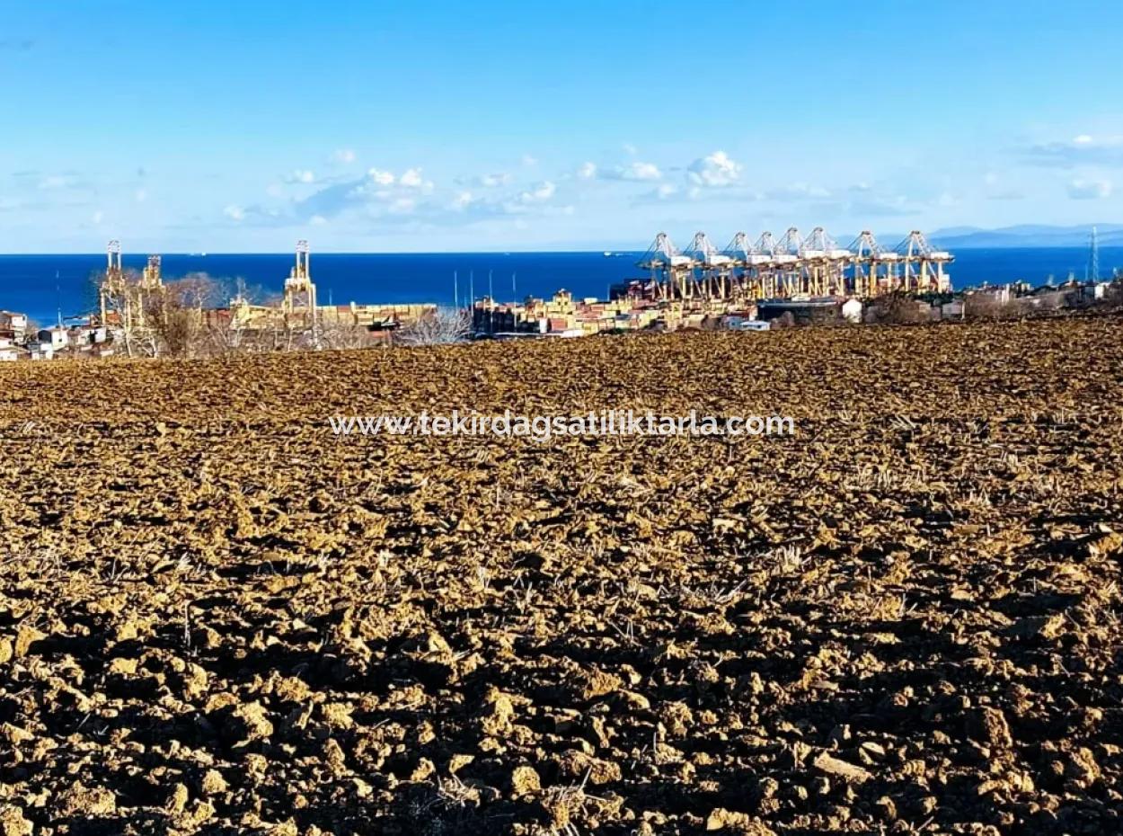 17.100 M2 Residential Zoned Field With Tremendous View, Close To Tekirdağ Barbaros Asyaport Port