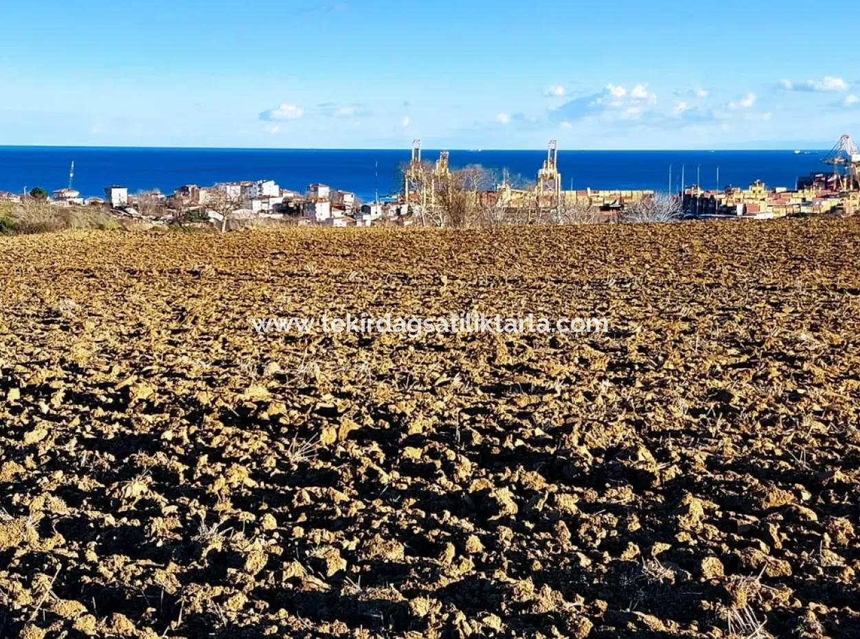 17.100 M2 Residential Zoned Field With Tremendous View, Close To Tekirdağ Barbaros Asyaport Port