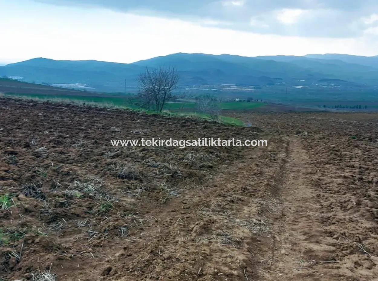 Commercial And Industrial Area Investment Opportunity Within The Current Zoning Plan Of Asyaport Port In Tekirdağ Barbaros Region