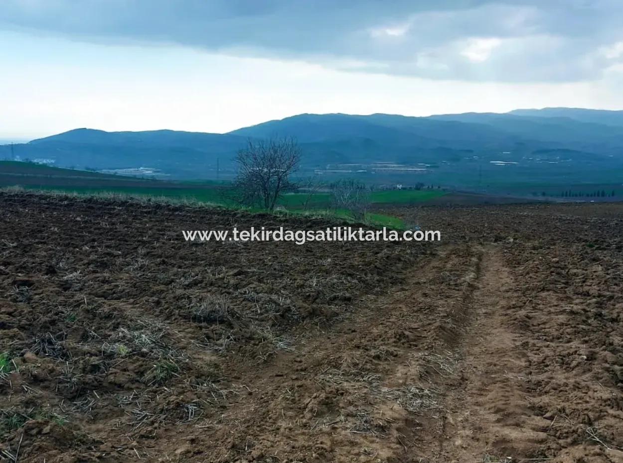 Commercial And Industrial Area Investment Opportunity Within The Current Zoning Plan Of Asyaport Port In Tekirdağ Barbaros Region