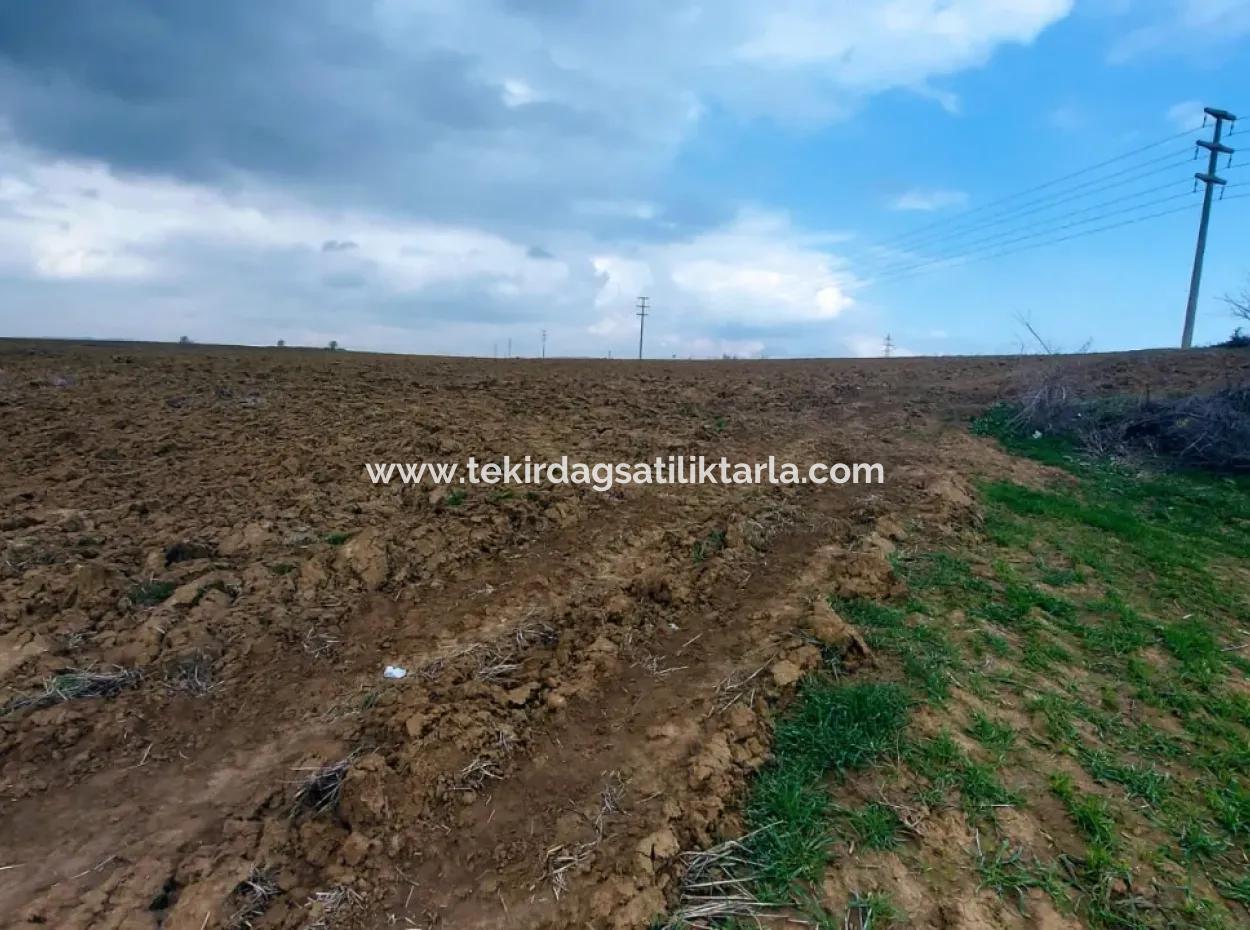 Commercial And Industrial Area Investment Opportunity Within The Current Zoning Plan Of Asyaport Port In Tekirdağ Barbaros Region