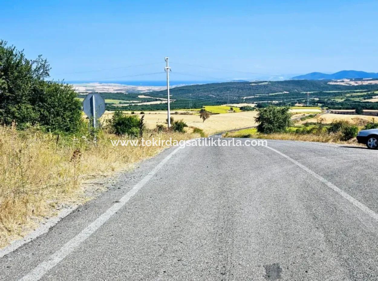 Tekirdağ Aşağkiliçli Mah. 2.340 M2 Coupon Field For Urgent Sale Promising High Profits Suitable For Buy And Sell