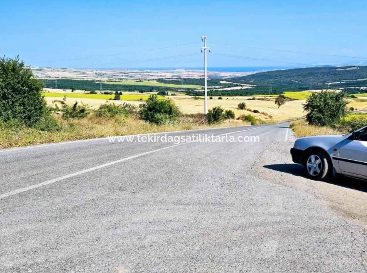 Tekirdağ Aşağkiliçli Mah. 2.340 M2 Coupon Field For Urgent Sale Promising High Profits Suitable For Buy And Sell