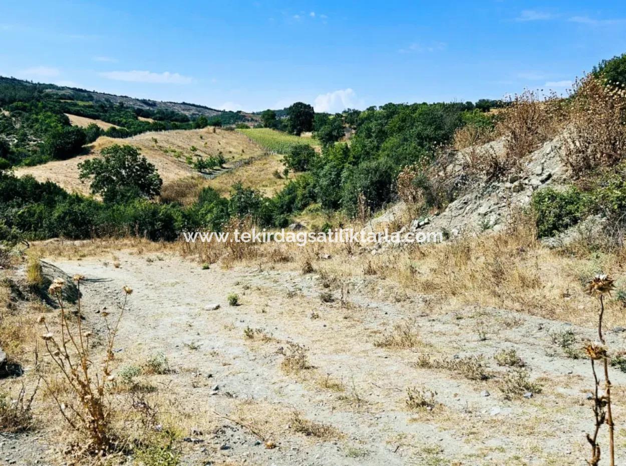 Kelep Kopon Field For Urgent Sale For Those Who Want To Make A Profitable Investment In Tekirdag Çanakçi Neighborhood