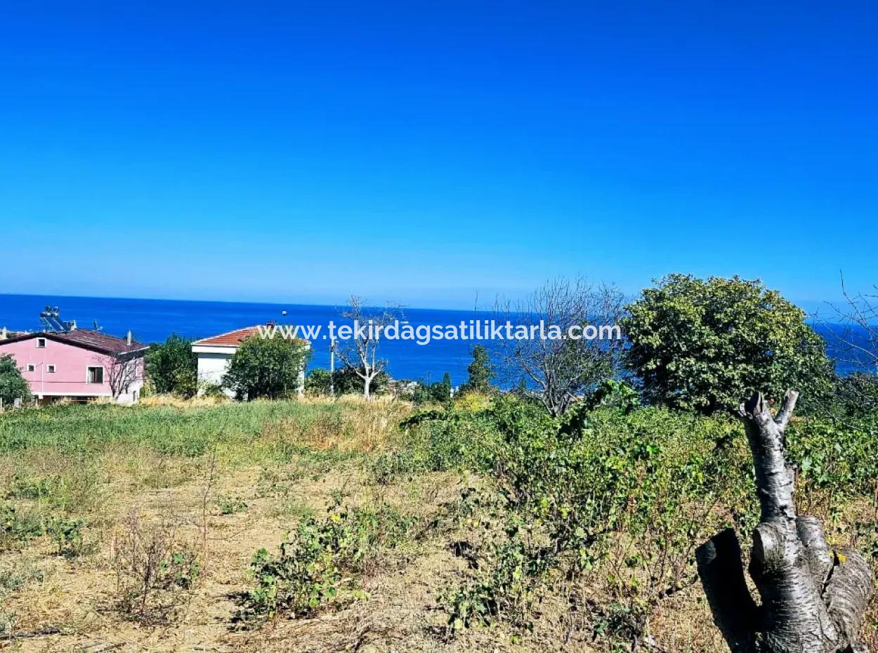 An Unmissable Opportunity For Those Looking For A Place For Urgent Sale 4 Side Road Façade Investment In Tekirdag Barbarosta