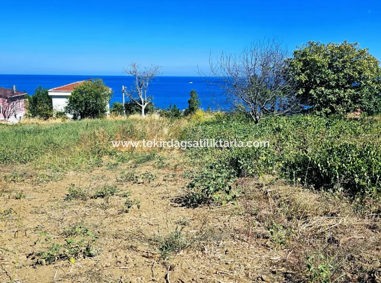 An Unmissable Opportunity For Those Looking For A Place For Urgent Sale 4 Side Road Façade Investment In Tekirdag Barbarosta
