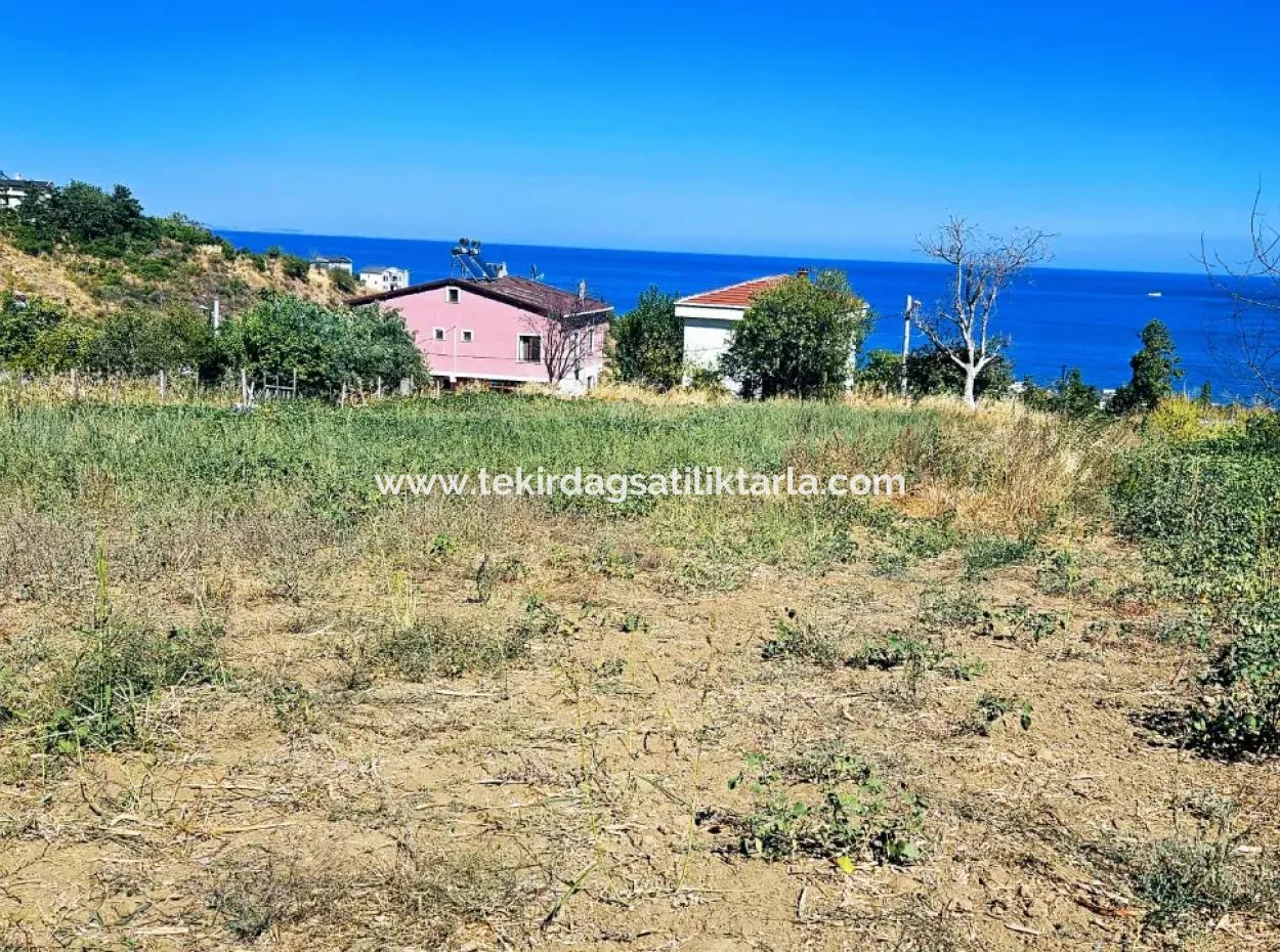 An Unmissable Opportunity For Those Looking For A Place For Urgent Sale 4 Side Road Façade Investment In Tekirdag Barbarosta