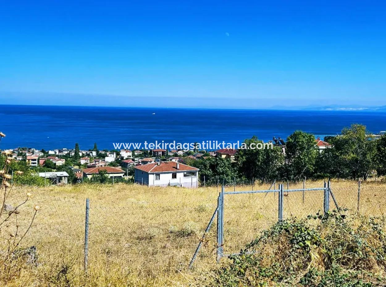 An Unmissable Opportunity For Those Looking For A Place For Urgent Sale 4 Side Road Façade Investment In Tekirdag Barbarosta