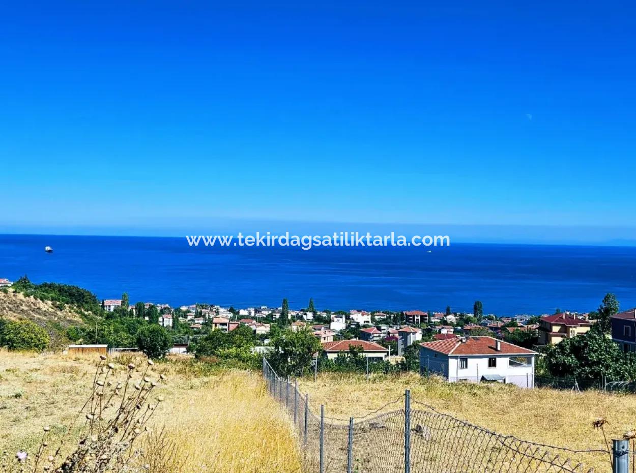 An Unmissable Opportunity For Those Looking For A Place For Urgent Sale 4 Side Road Façade Investment In Tekirdag Barbarosta