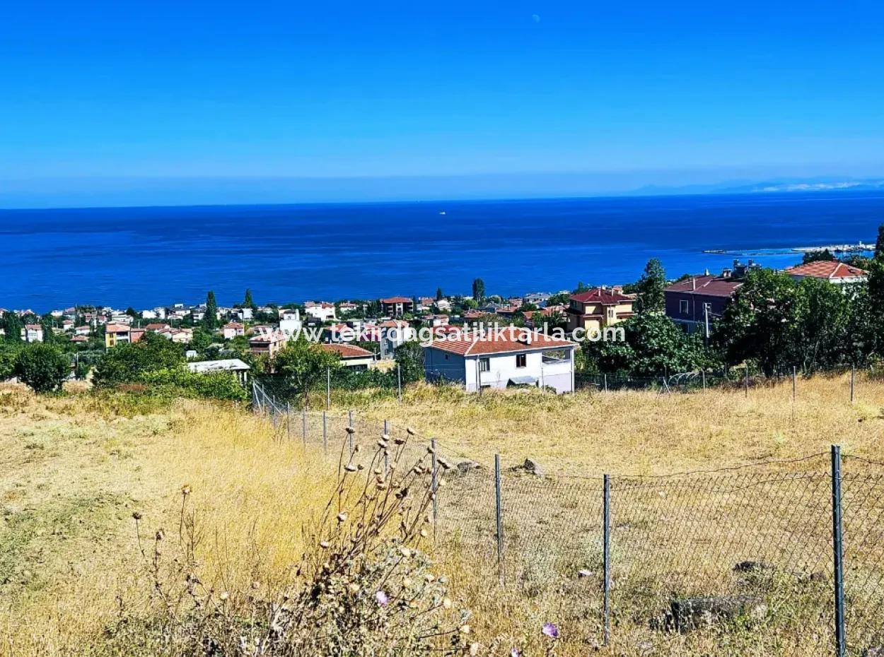 An Unmissable Opportunity For Those Looking For A Place For Urgent Sale 4 Side Road Façade Investment In Tekirdag Barbarosta