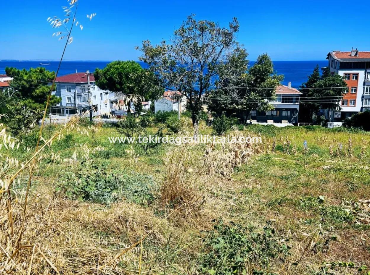 Tekirdag Barbarosta Urgent Sale Main Road Fronted Commercial Residential Zoning [ Adjacent Layout ] 85 Flats High Profit Guarantee