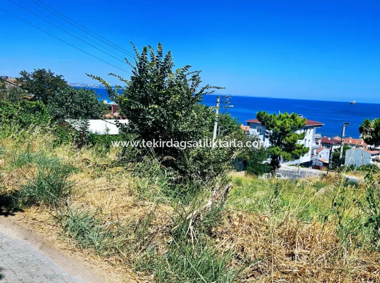 Tekirdag Barbarosta Urgent Sale Main Road Fronted Commercial Residential Zoning [ Adjacent Layout ] 85 Flats High Profit Guarantee