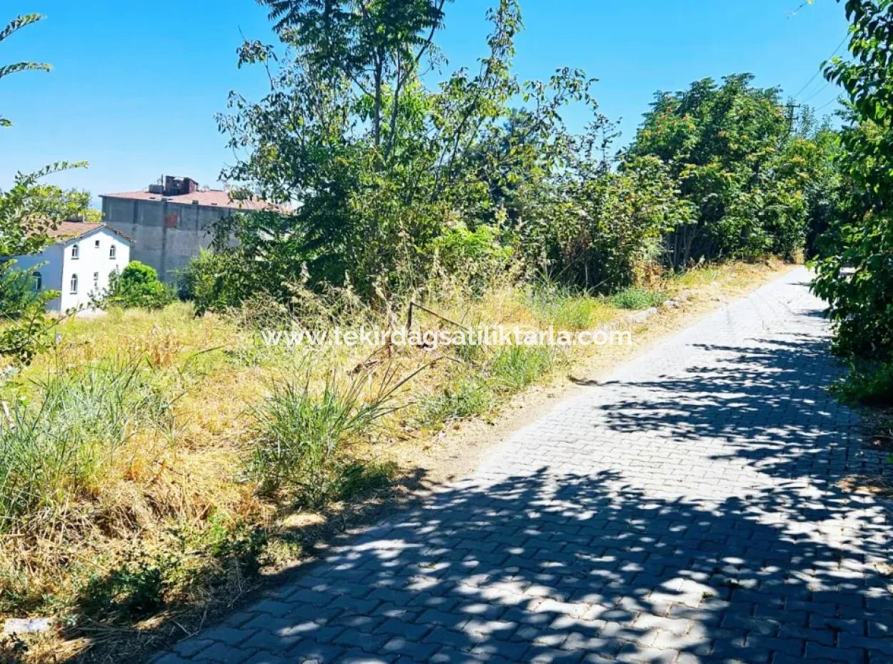 Tekirdag Barbarosta Urgent Sale Main Road Fronted Commercial Residential Zoning [ Adjacent Layout ] 85 Flats High Profit Guarantee