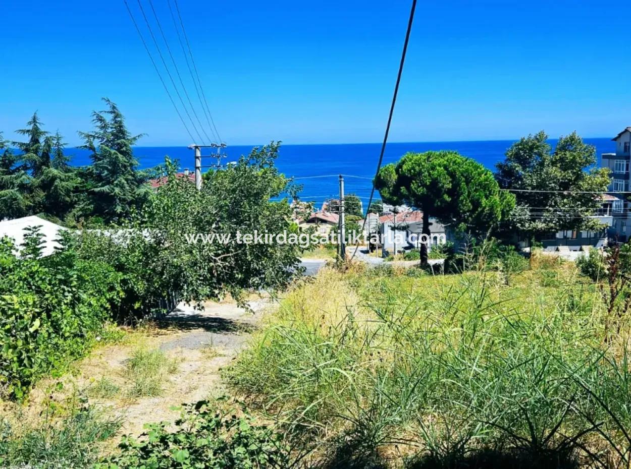 Tekirdag Barbarosta Urgent Sale Main Road Fronted Commercial Residential Zoning [ Adjacent Layout ] 85 Flats High Profit Guarantee