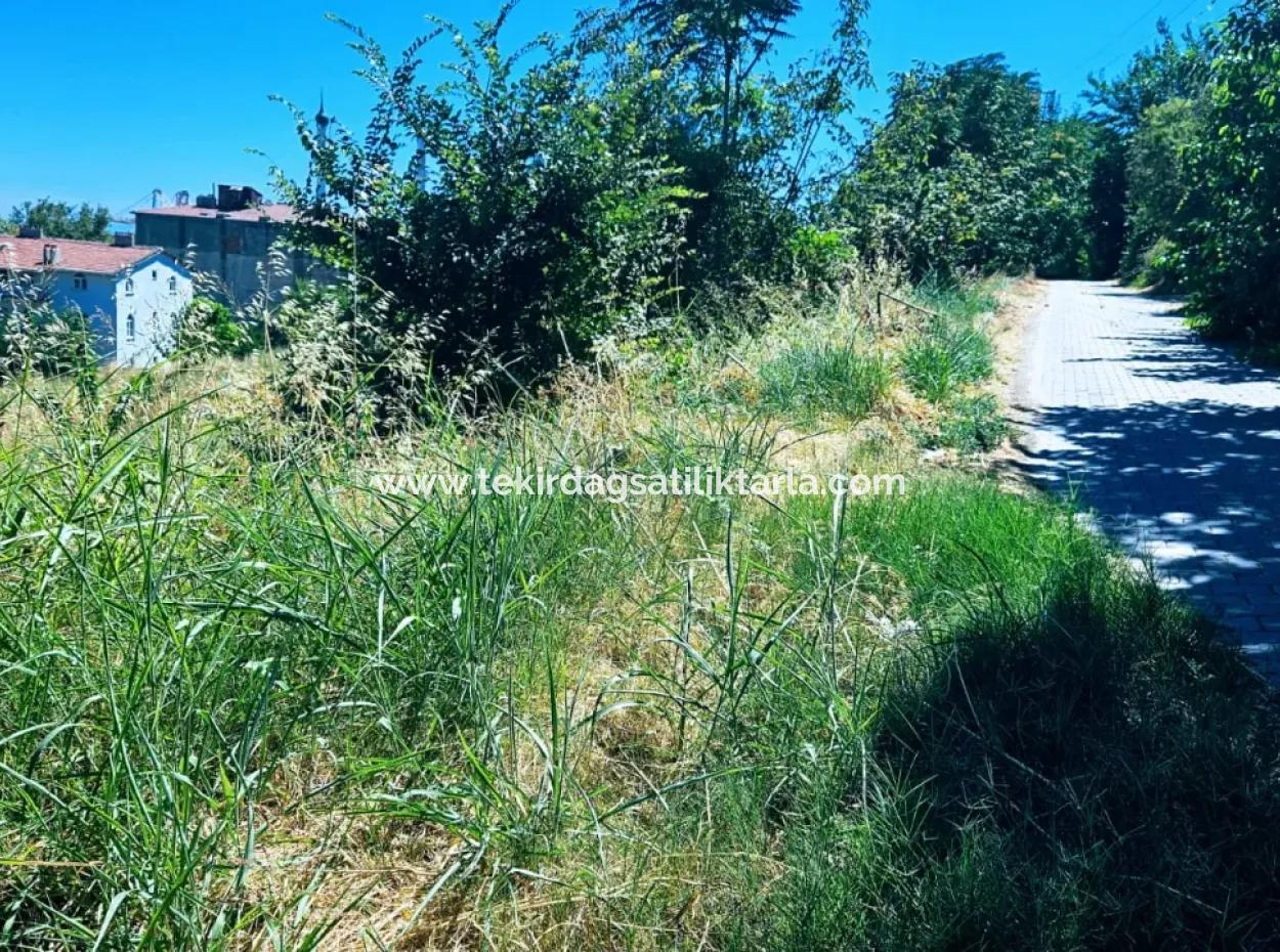Tekirdag Barbarosta Urgent Sale Main Road Fronted Commercial Residential Zoning [ Adjacent Layout ] 85 Flats High Profit Guarantee