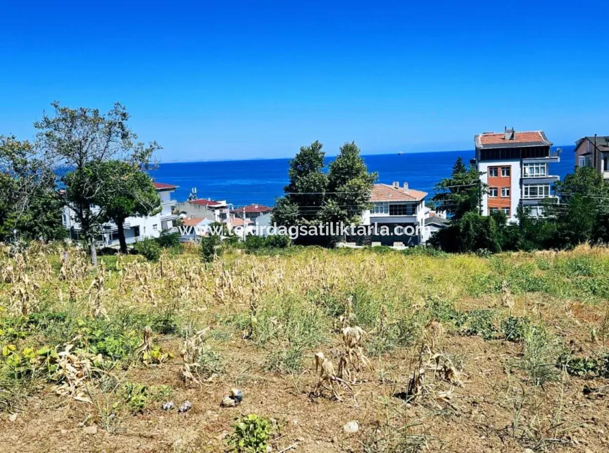Tekirdag Barbarosta Urgent Sale Main Road Fronted Commercial Residential Zoning [ Adjacent Layout ] 85 Flats High Profit Guarantee