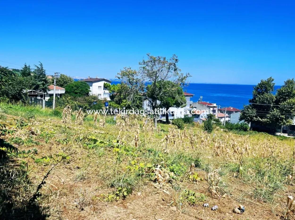 Tekirdag Barbarosta Urgent Sale Main Road Fronted Commercial Residential Zoning [ Adjacent Layout ] 85 Flats High Profit Guarantee