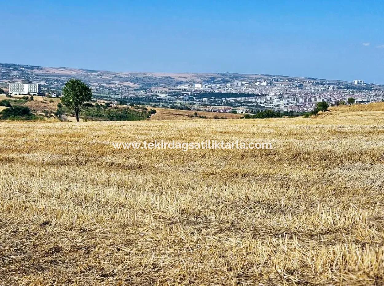 2.650 M2 Villa For Urgent Sale In Tekirdag Barbarosta Zoned Coupon Field Suitable For Investment