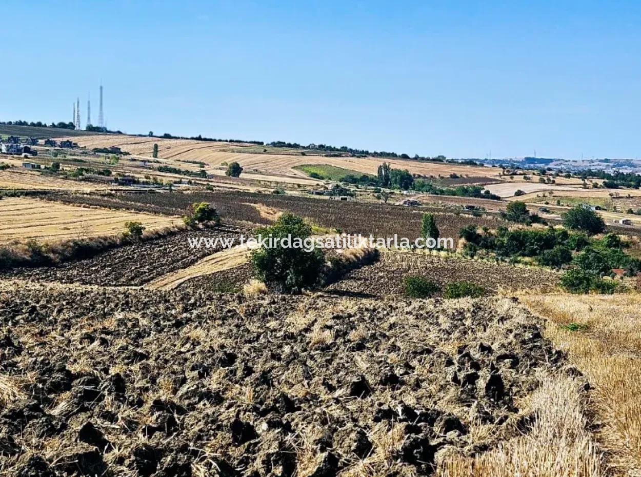 2.650 M2 Villa For Urgent Sale In Tekirdag Barbarosta Zoned Coupon Field Suitable For Investment