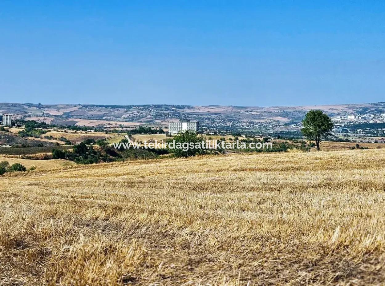 2.650 M2 Villa For Urgent Sale In Tekirdag Barbarosta Zoned Coupon Field Suitable For Investment