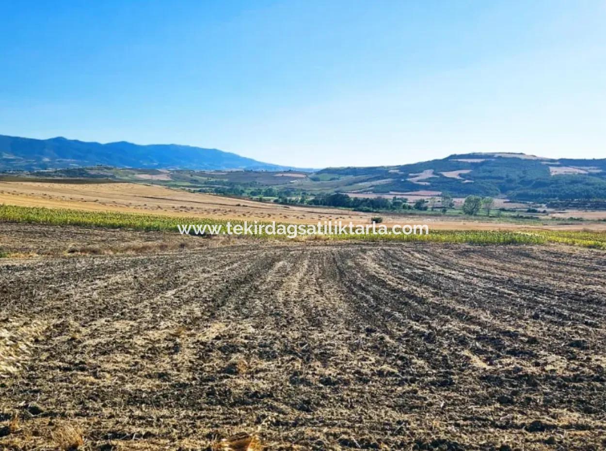 Asyaport Port Is An Unmissable Opportunity Land For Those Who Want To Invest Very Close To The Existing Zoning