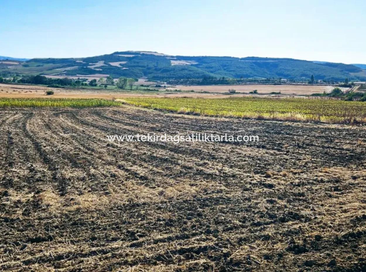 Asyaport Port Is An Unmissable Opportunity Land For Those Who Want To Invest Very Close To The Existing Zoning