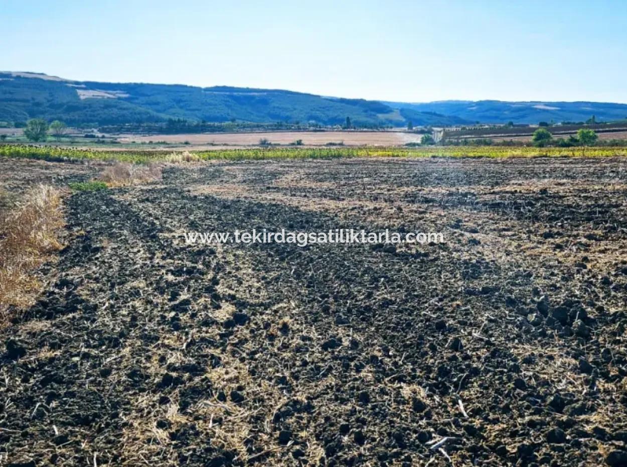 Asyaport Port Is Very Close To The Existing Zoning 17.350 M2 Bargain Investment Coupon Field For Urgent Sale