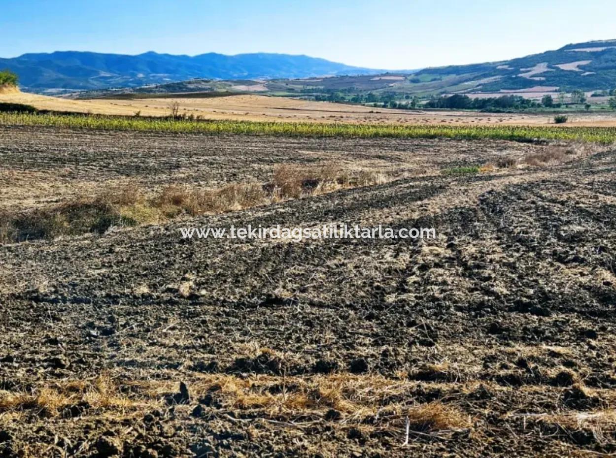 Asyaport Port Is Very Close To The Existing Zoning 17.350 M2 Bargain Investment Coupon Field For Urgent Sale