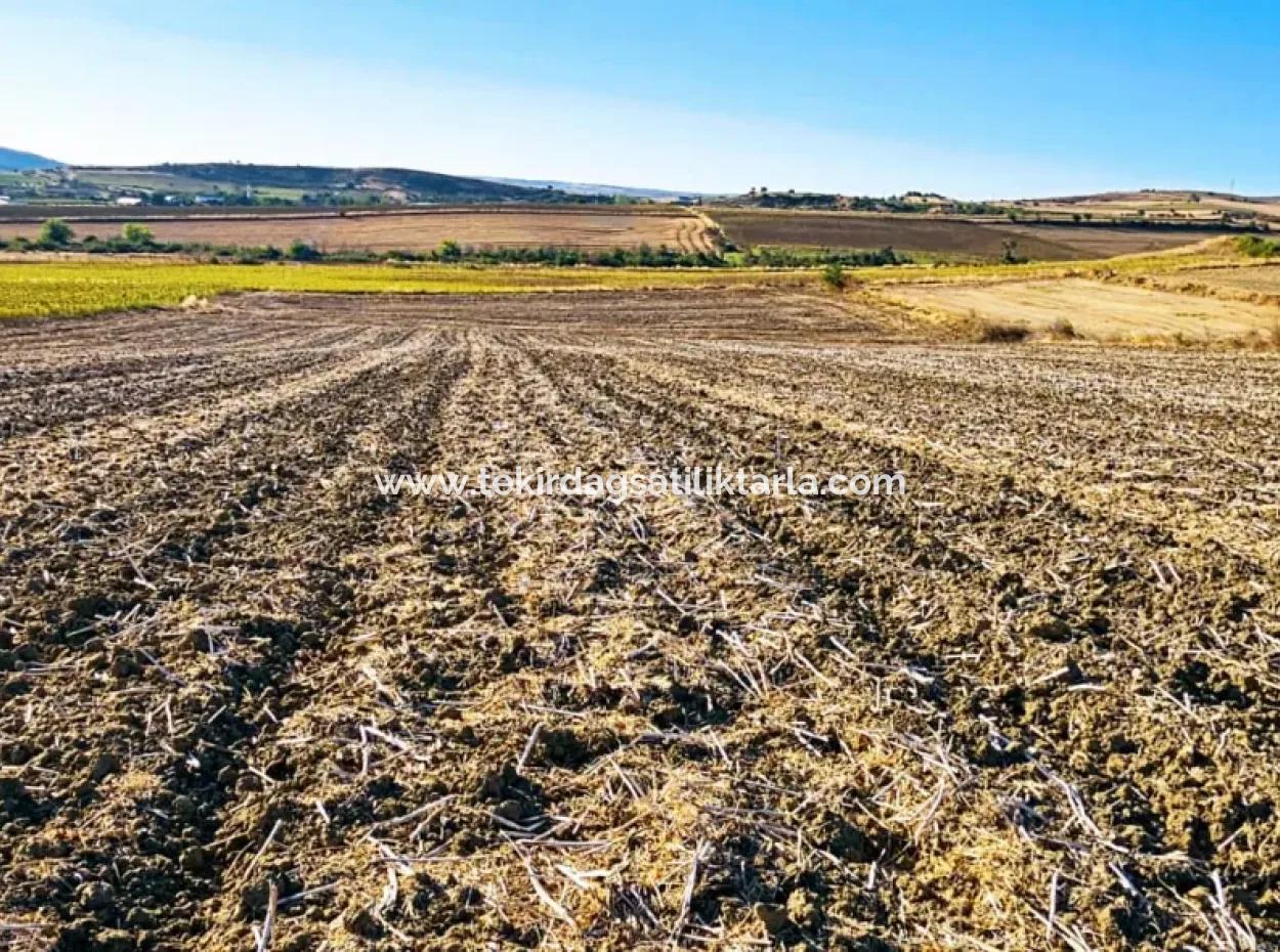 Asyaport Port Is Very Close To The Existing Zoning 17.350 M2 Bargain Investment Coupon Field For Urgent Sale