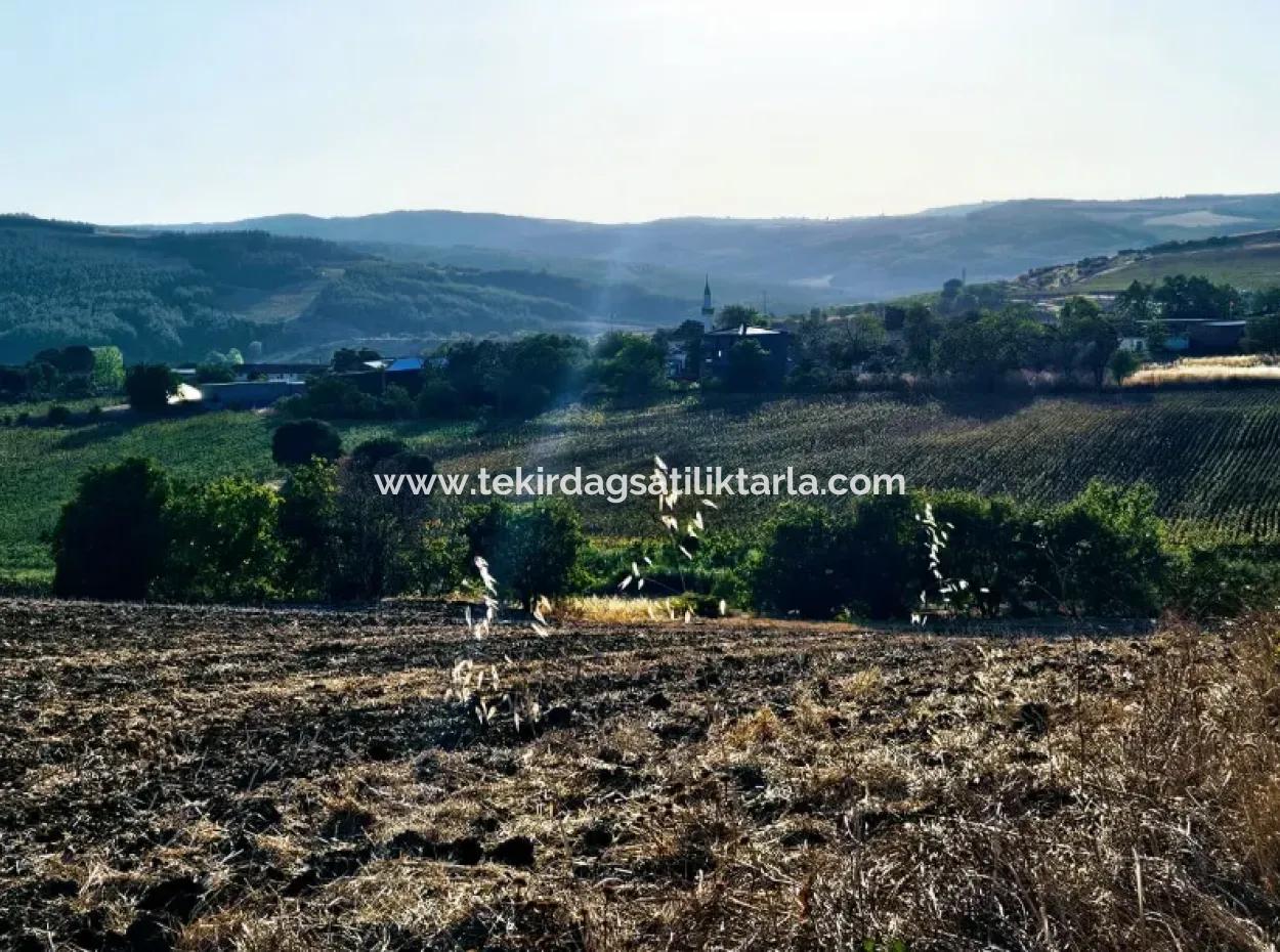 Azyaport Port Is Close To The Existing Zoning 16.100 Emergency Sale Investment Bargain Coupon Field