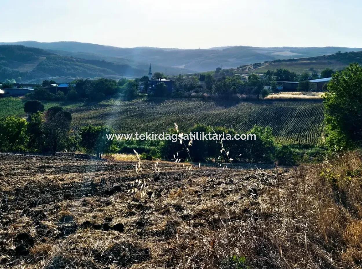 Azyaport Port Is Close To The Existing Zoning 16.100 Emergency Sale Investment Bargain Coupon Field