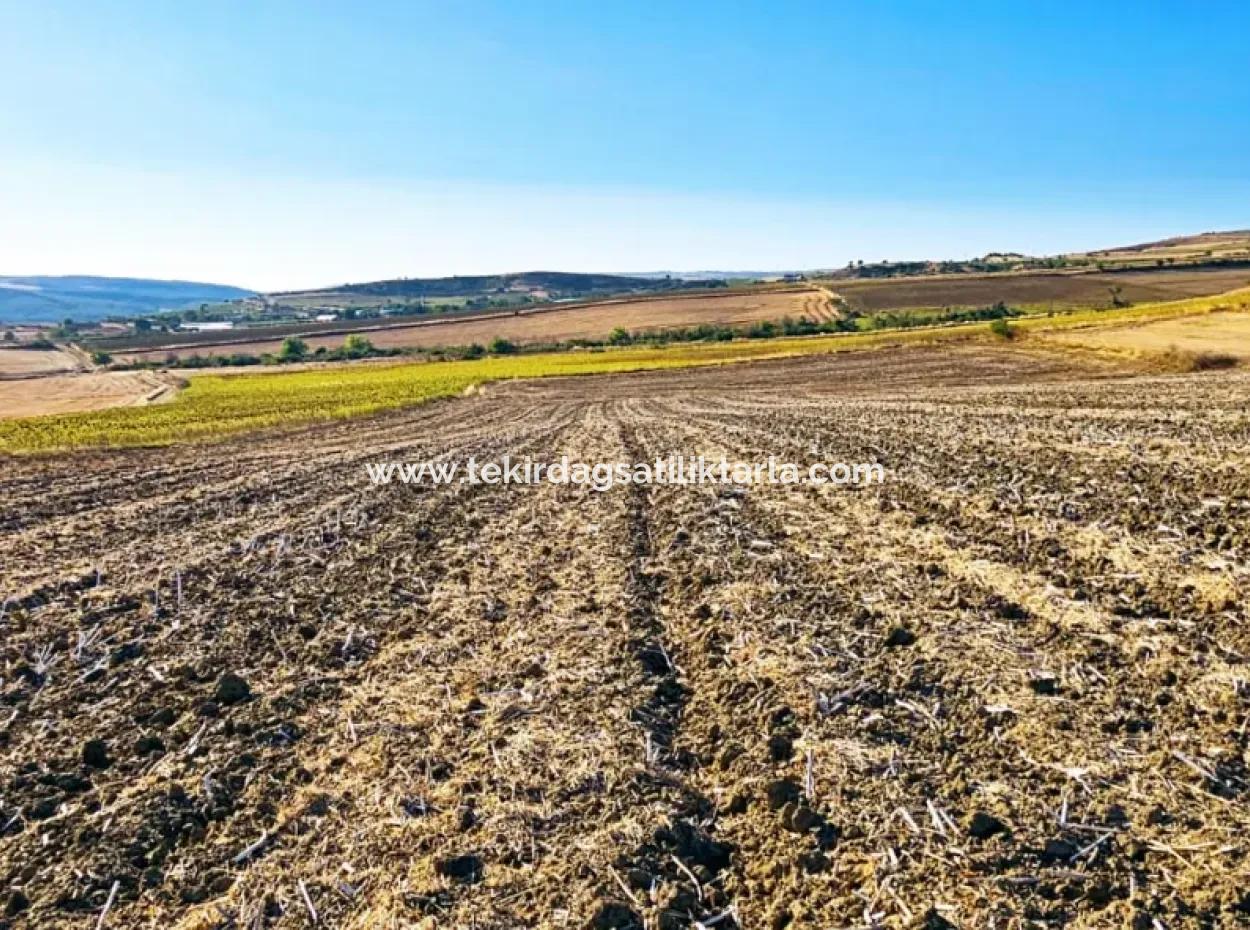 Asyaport Port Is Within The Current Zoning Plan ( Commercial