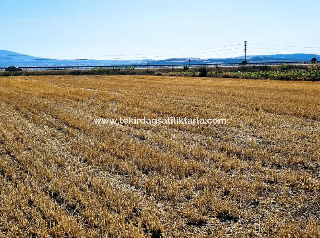 Asyaport Port Is Within The Current Zoning Plan ( Commercial