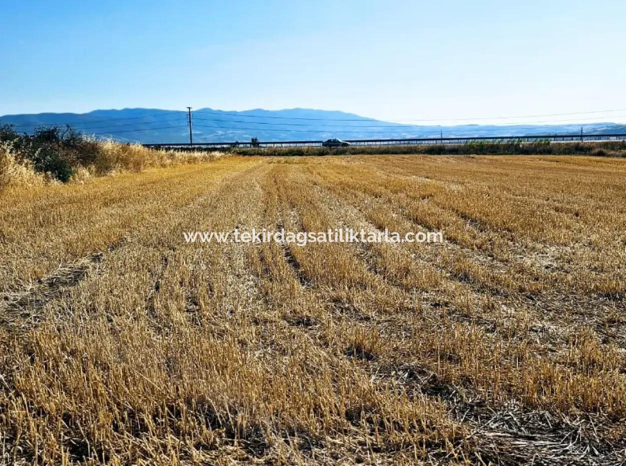 Asyaport Port Is Within The Current Zoning Plan ( Commercial