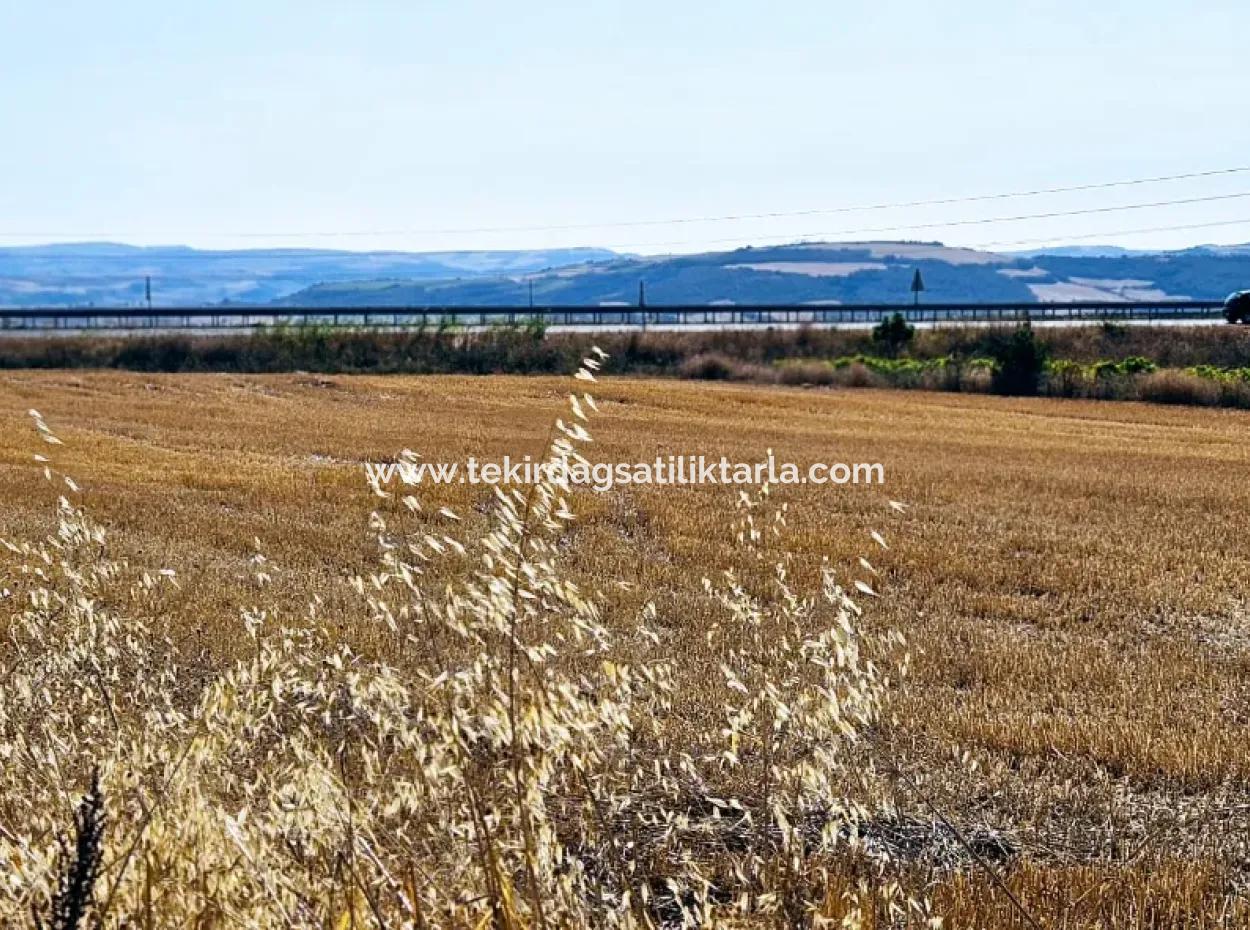 Asyaport Port Is Within The Current Zoning Plan ( Commercial