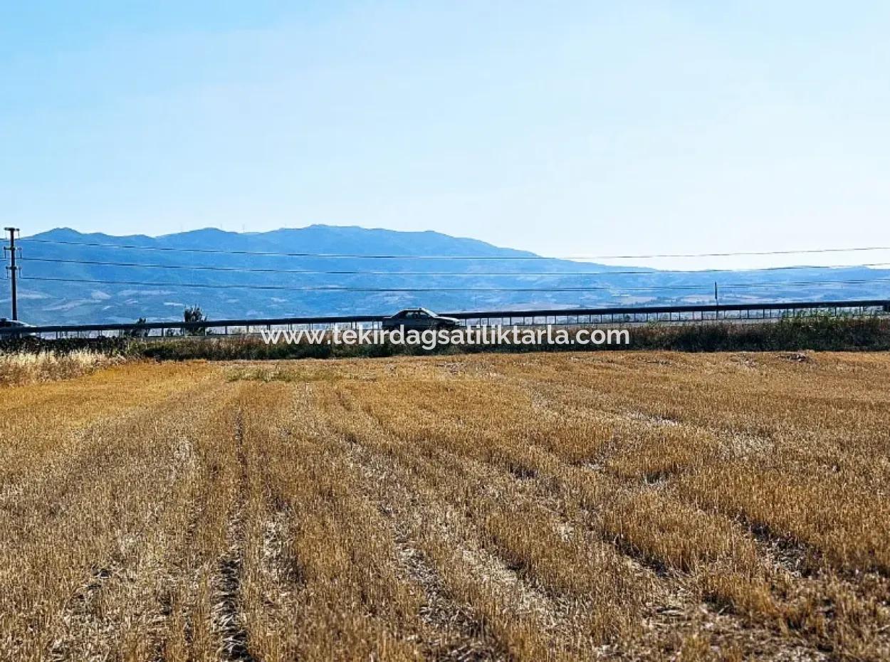 Asyaport Port Is Within The Current Zoning Plan ( Commercial