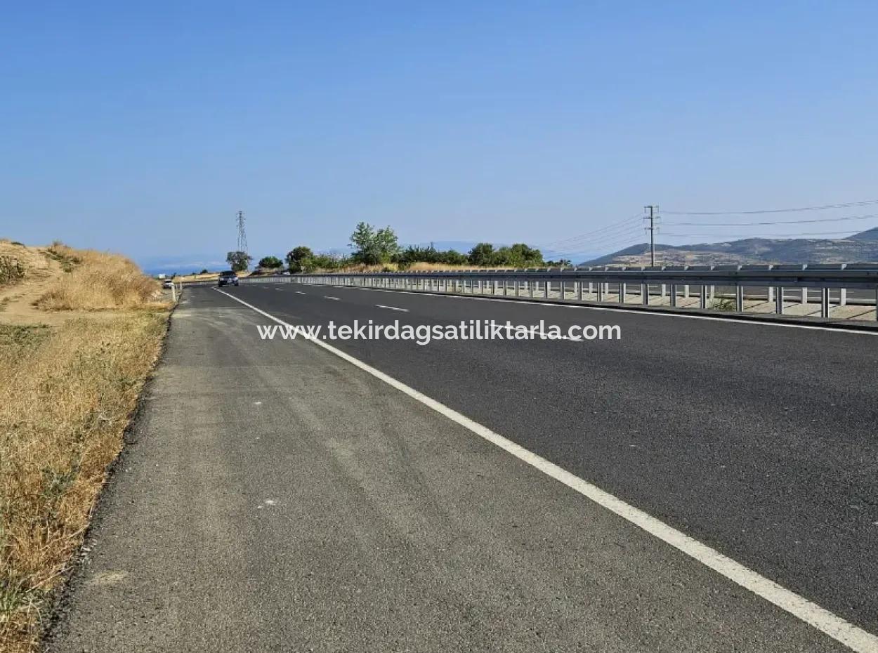 Asyaport Port Is Within The Current Zoning Plan ( Commercial