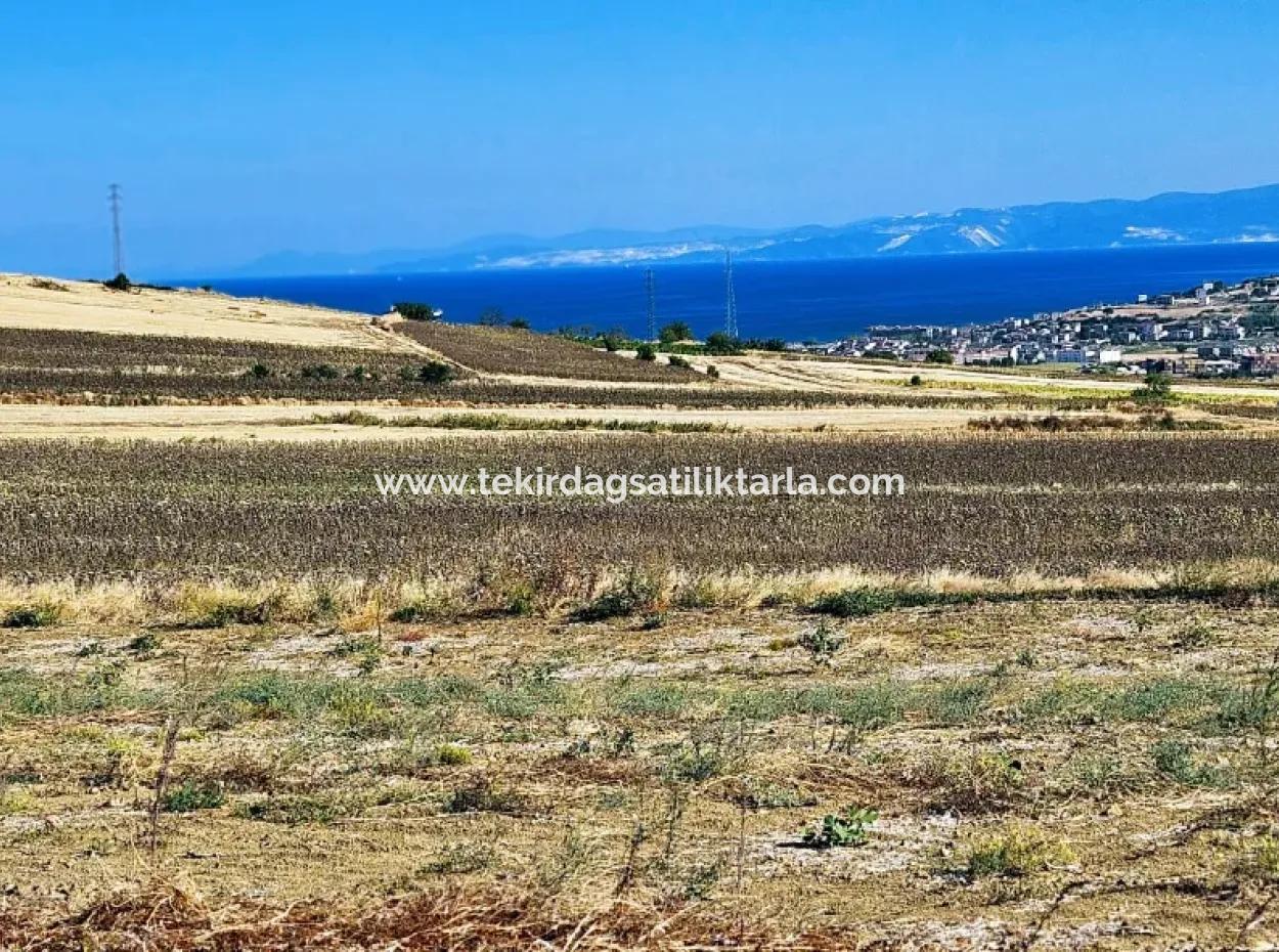 Asyaport Port Is Within The Current Zoning Plan ( Commercial