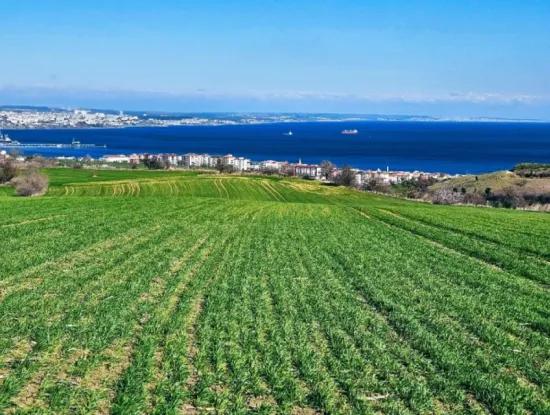 The Closest Region To Istanbul Is Tekirdag Barbarost 34,500 Opportunity Zoned Land Suitable For Building 75 Luxury Villas With Full Sea And Nature Views