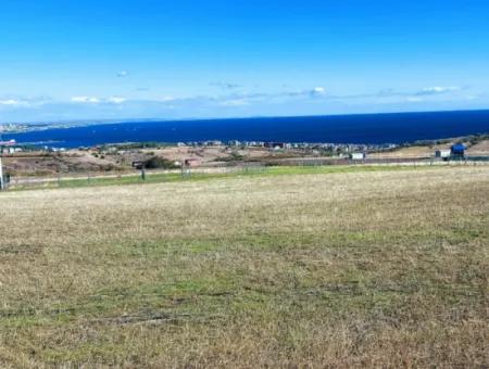 Apply Luxury Villa Project For Urgent Sale Provide High Kaznç Location Magnificent Completely Full Sea And Nature View