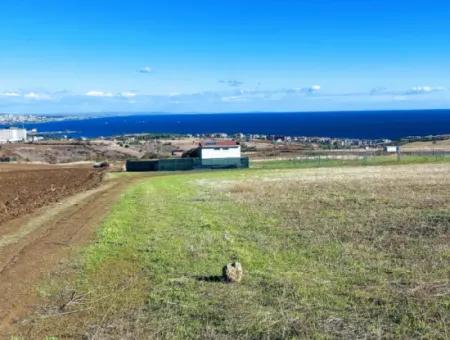 Apply Luxury Villa Project For Urgent Sale Provide High Kaznç Location Magnificent Completely Full Sea And Nature View