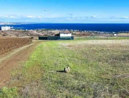 Apply Luxury Villa Project For Urgent Sale Provide High Kaznç Location Magnificent Completely Full Sea And Nature View