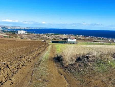 Apply Luxury Villa Project For Urgent Sale Provide High Kaznç Location Magnificent Completely Full Sea And Nature View